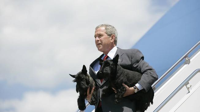 George W. Bush a psi