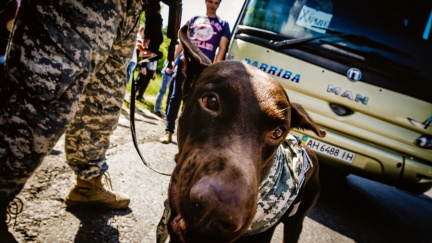 Aktualizováno: Ukrajinská armáda si došlápla na rebely z východu. Napadla jejich základny