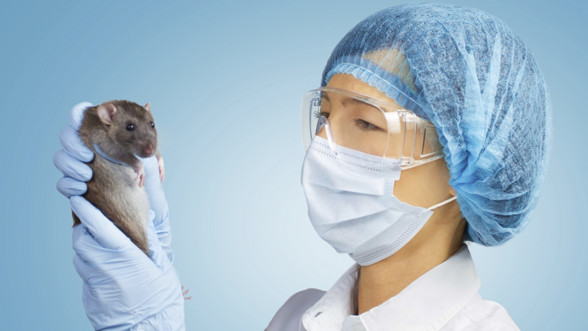 Mláďata přejímají fobie od rodičů. Může za to 'pach strachu'