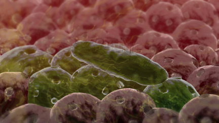 V Dejvicích tekla kontaminovaná voda. Obyvatele trápí průjmy a zvracení