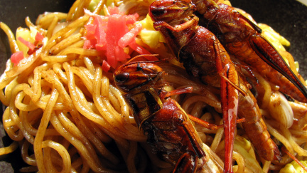 Máte hlad? Návštěvníci zoo mohli ochutnat sarančata i červy