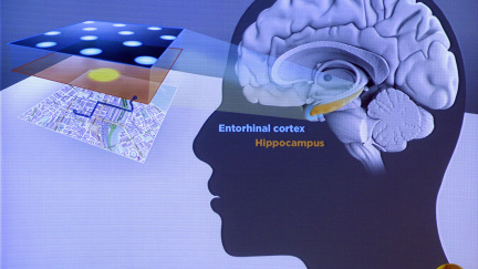 Nobelovku za lékařství získala trojice neurologů za 'biologickou GPS'