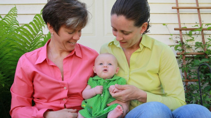 Aktualizováno: Vláda nakonec homosexuální adopce nepodpořila