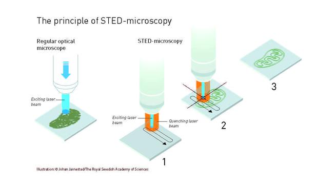 Jak funguje STED-mikroskop
