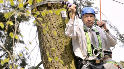 Komentář: Jihlavané poslali ODS po 16 letech do opozice. Cyklistika holt už netáhne