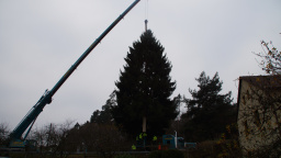 'Hlavní' vánoční strom se rozsvítí o víkendu