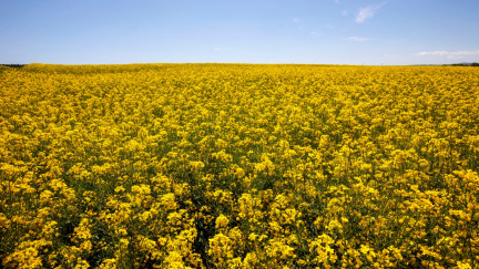 Sněmovna schválila nižší poplatky za vynětí půdy z půdního fondu