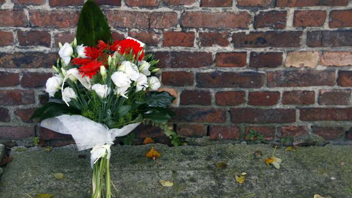 Prezidenti odmítají Zemanovo pozvání na pietu k Osvětimi