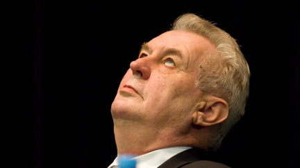 Přímou volbu prezidenta dál podporuje téměř 80 procent lidí