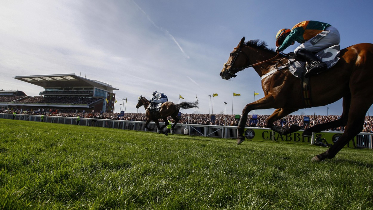 Velká národní steeplechase: Velkolepá podívaná, nebo krutá jatka?