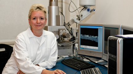 Po stopách padělaných obrazů. Jak se v Česku odhalují padělky?