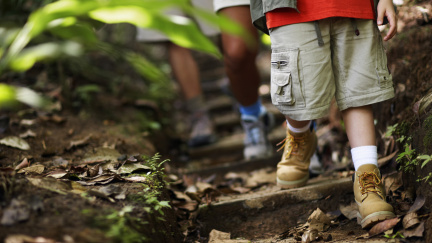 Senátoři dali šanci lesním školkám