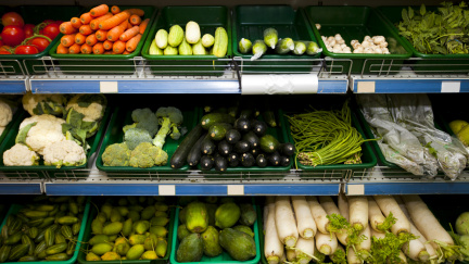 Senátní komise odmítla zavedení kvót na české potraviny