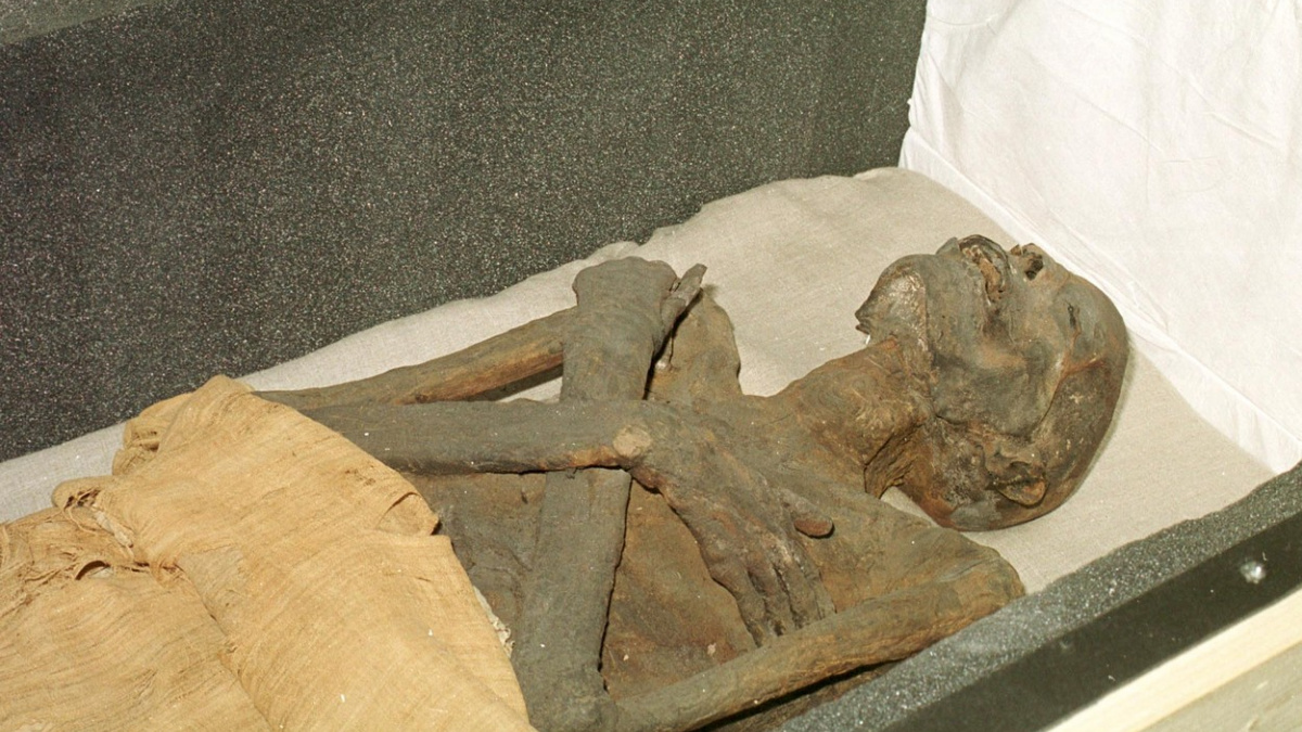 Vědci napodobili Egypťany, podle jejich návodu mumifikovali nohu