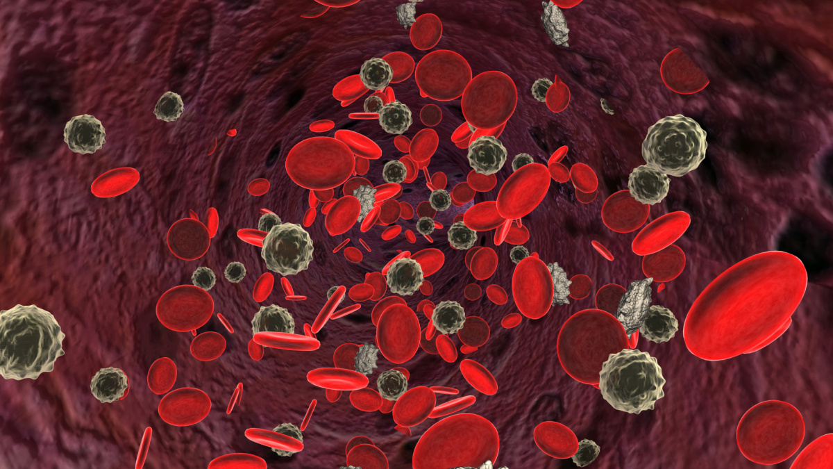 Novou dědičnou nemoc krve pomáhali objevit čeští vědci