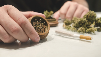 Češi hulí trávu jako o závod. Patří k největším uživatelům v Evropě