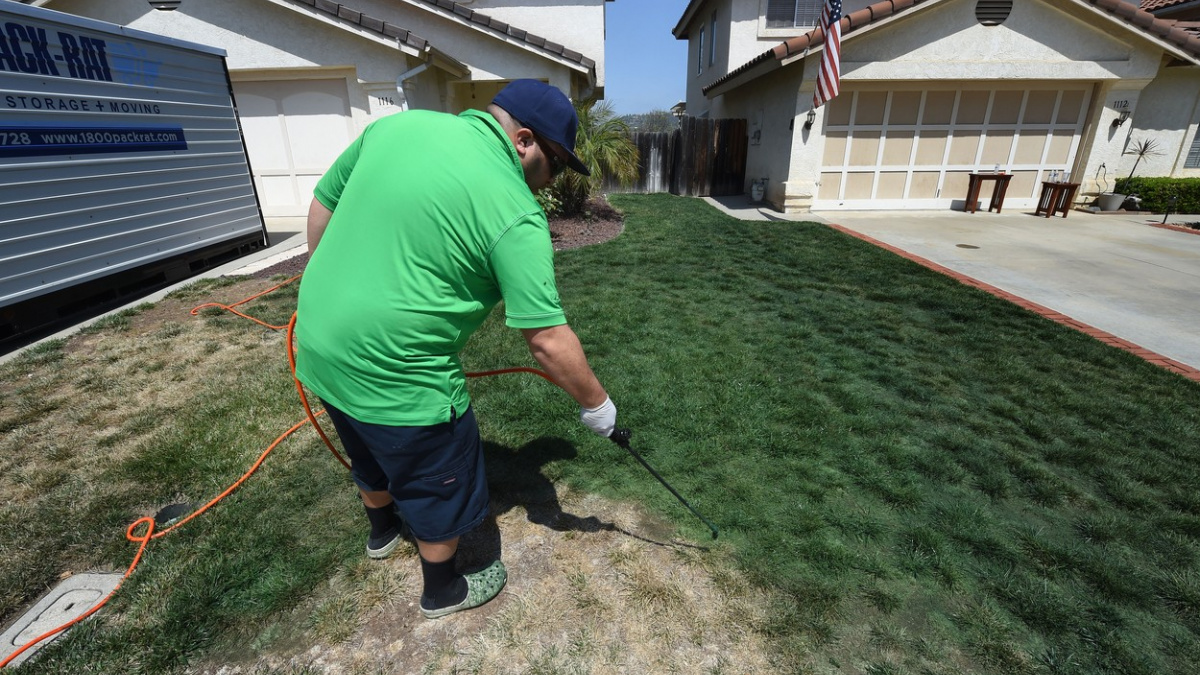 Stále zelený trávník i bez zavlažování? V Kalifornii ho namalují