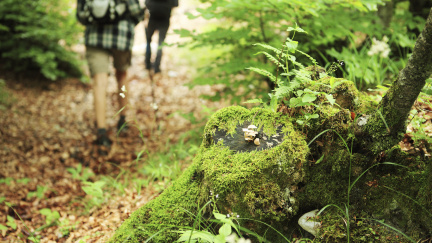 Poláci stopli obnovení turistických tras na hranicích s Českem
