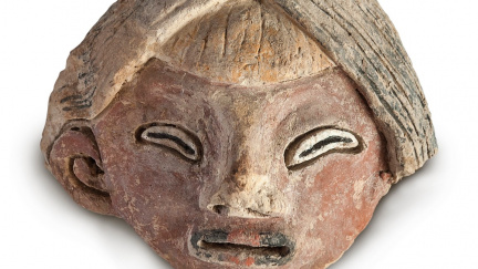 Sošky staré 3800 let objevili v Peru