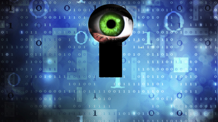 Česko kvůli šmírování na internetu ohýbá evropskou legislativu