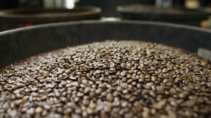 Zůstane svět bez kolumbijské kávy? Nikdo ji nechce sbírat