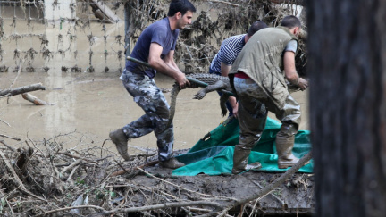 Podívejte se, jak Češi pomáhají zoo v Tbilisi, kterou zlikvidovala povodeň