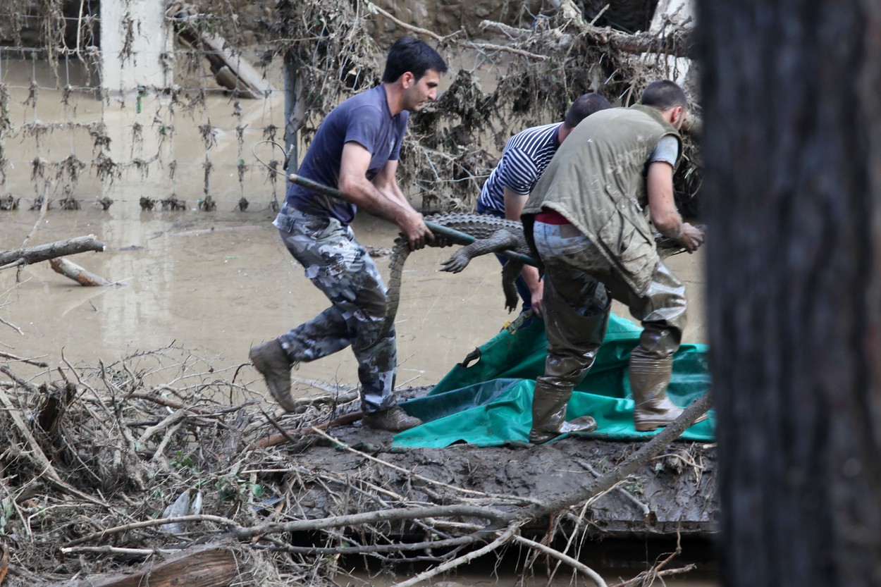 Spoušť po povodni v zoo v Tbilisi