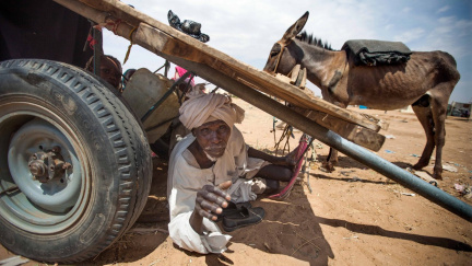Genocida, které si nikdo nevšímá