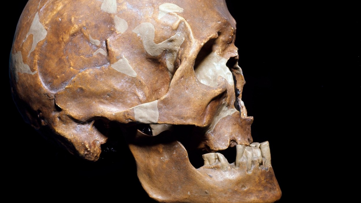 Je v DNA kromaňonce gen neandrtálců? Vědci odpoví analýzou kostí z Moravy