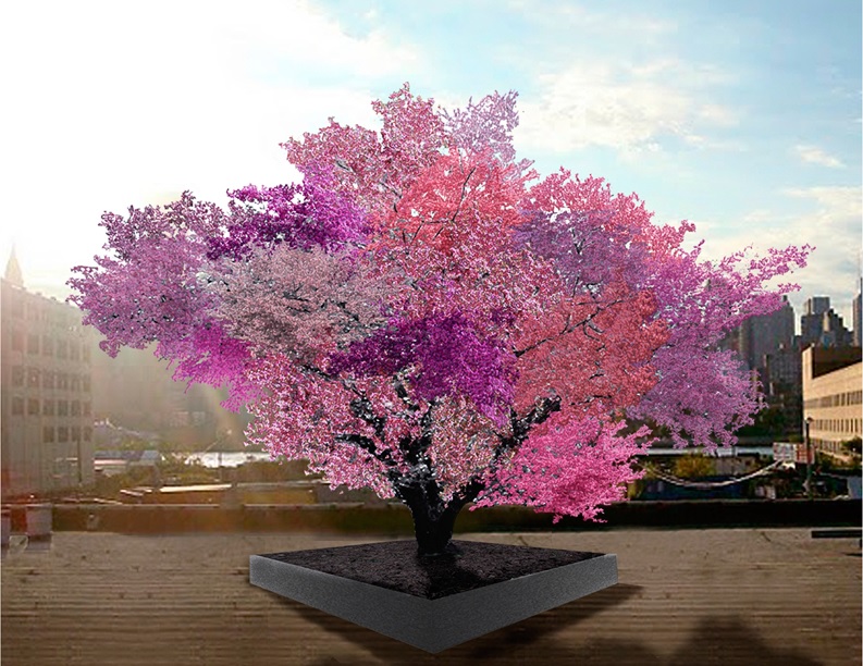 Švestky, meruňky i třešně. Američan vytvořil roubováním strom plodící 40 druhů ovoce