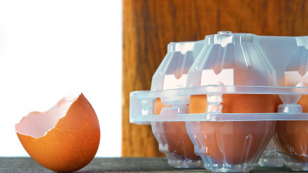 Salmonela byla na skořápkách a v jídle, potvrdili plzeňští hygienici