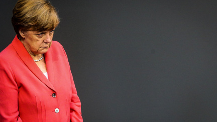 Šedá myš Merkelová vydrží déle než růžový králík Duracell