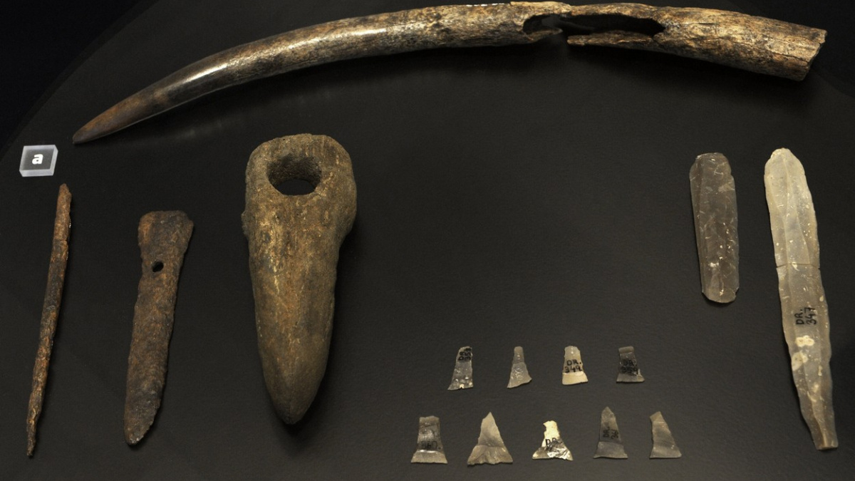 Vraždy v pravěku? Drsné mučení a vhození do masového hrobu