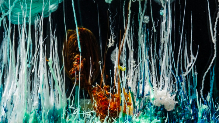 Vznikl život na dně pravěkých moří?