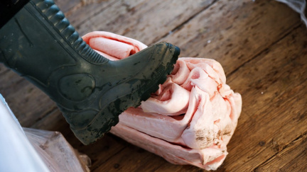 Za dovoz potravin a zbraní stejné tresty, navrhují ruští celníci