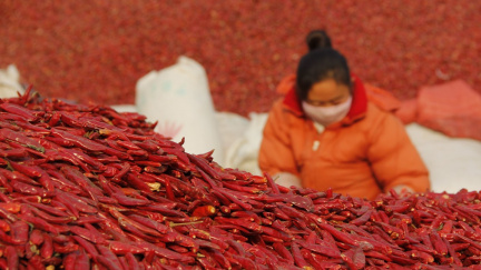 Chcete si prodloužit život? Zkuste něco ostrého, radí vědci
