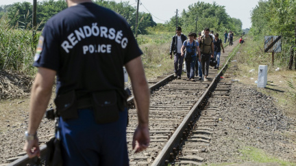 Aktualizováno: Maďarsko nasadilo proti uprchlíkům policejní posily. Mají chránit hranici se Srbskem