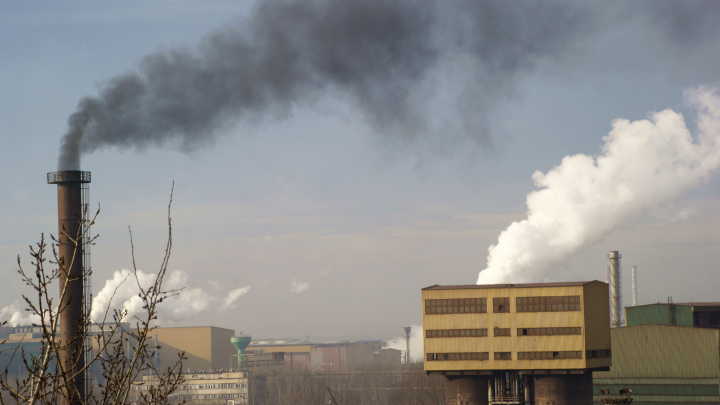 Úspěch českých vědců. Zjistili, jak snížit riziko vzniku rakoviny z benzo(a)pyrenu