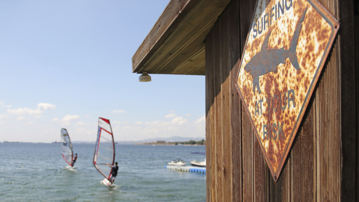 Maskujte se jako zebra, radí vědci surfařům. Odradí to žraloky