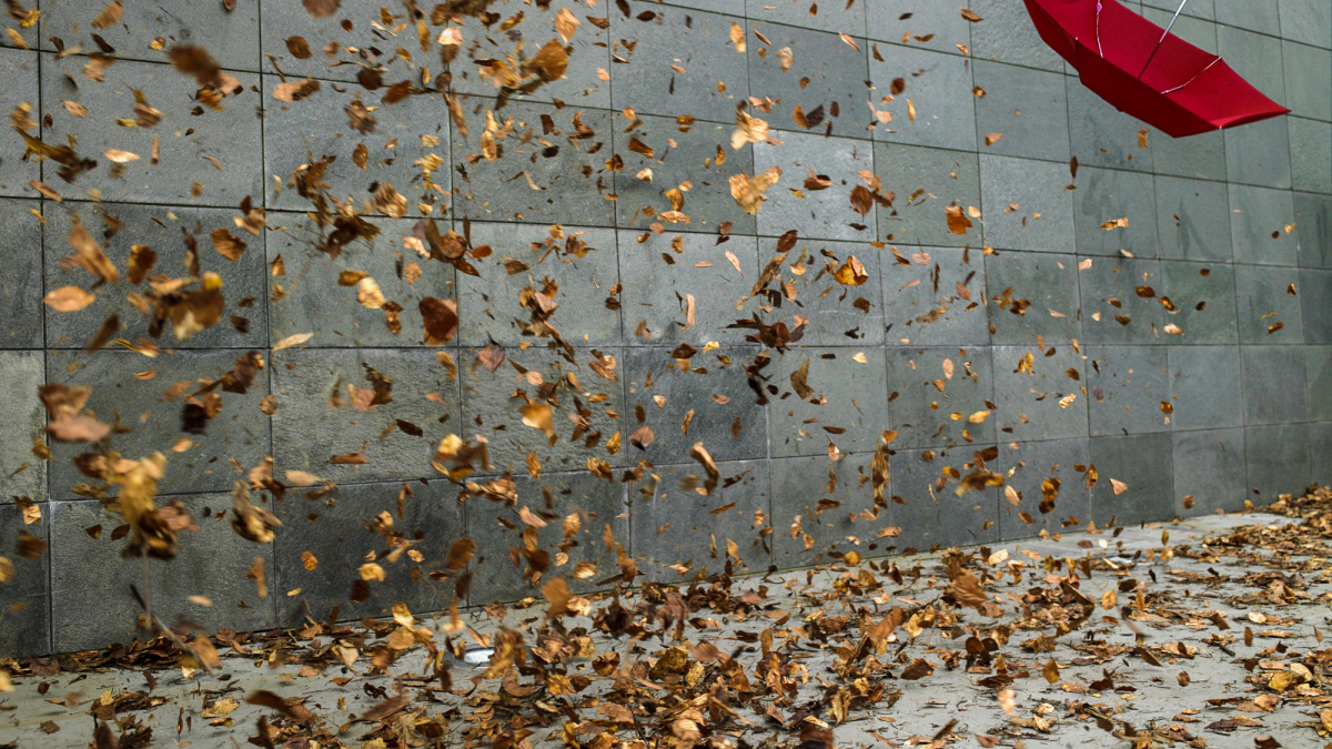 Podzimní deprese nejsou mýtus. Jak je v pohodě zvládnout?