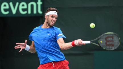 Češi v Indii ztratili vedení. Veselý se na nic nevymlouval