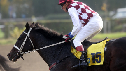 Potvrzeno! Velká Pardubická bude bez Váni