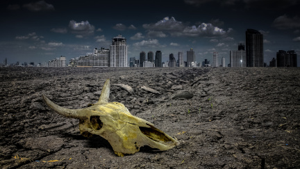 Apokalyptická vize klimatologa Cílka: Sucha se zhorší, přijdou další migrační vlny