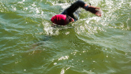 11 hodin ve vodě! Plavkyně Krčálová přeplavala úžinu Catalina v USA