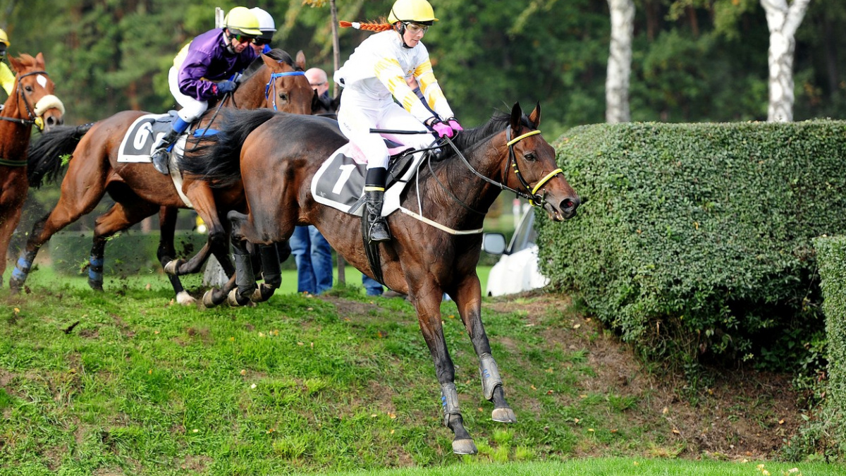 Favorité zklamali! Sázkaři opomíjený Nikas zvítězil v rekordním čase