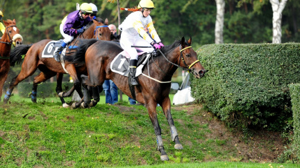 Favorité zklamali! Sázkaři opomíjený Nikas zvítězil v rekordním čase