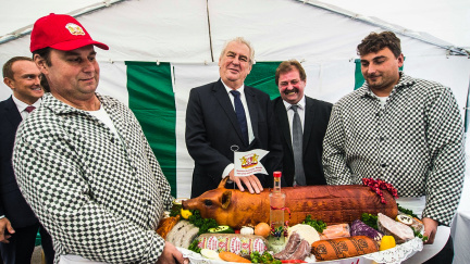 Otroci, nemoci a bílá rasa: 10 nejdrsnějších antiuprchlických hlášek