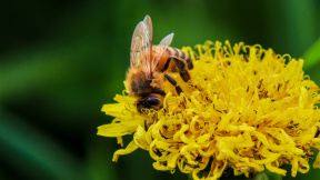 ThinkstockPhotos-498080349