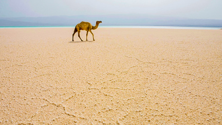 Bude mít Afrika vlastní Dubaj?