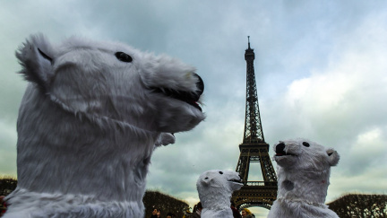 Co znamená nová klimatická dohoda pro Česko z pohledu vědců a ekologů